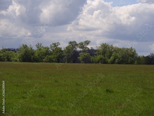 Meadow landscape at the  Mulde  near Eilenburg
