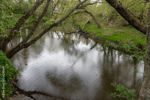 Small river in spring tome.