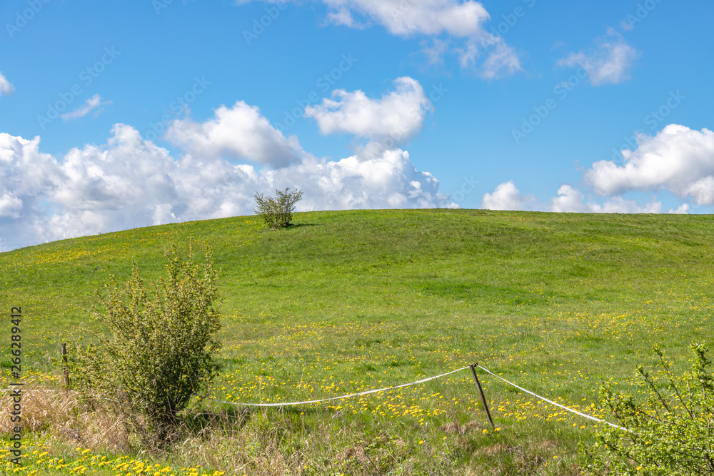 Landscape of green fields of grass with clouds and blue sky.