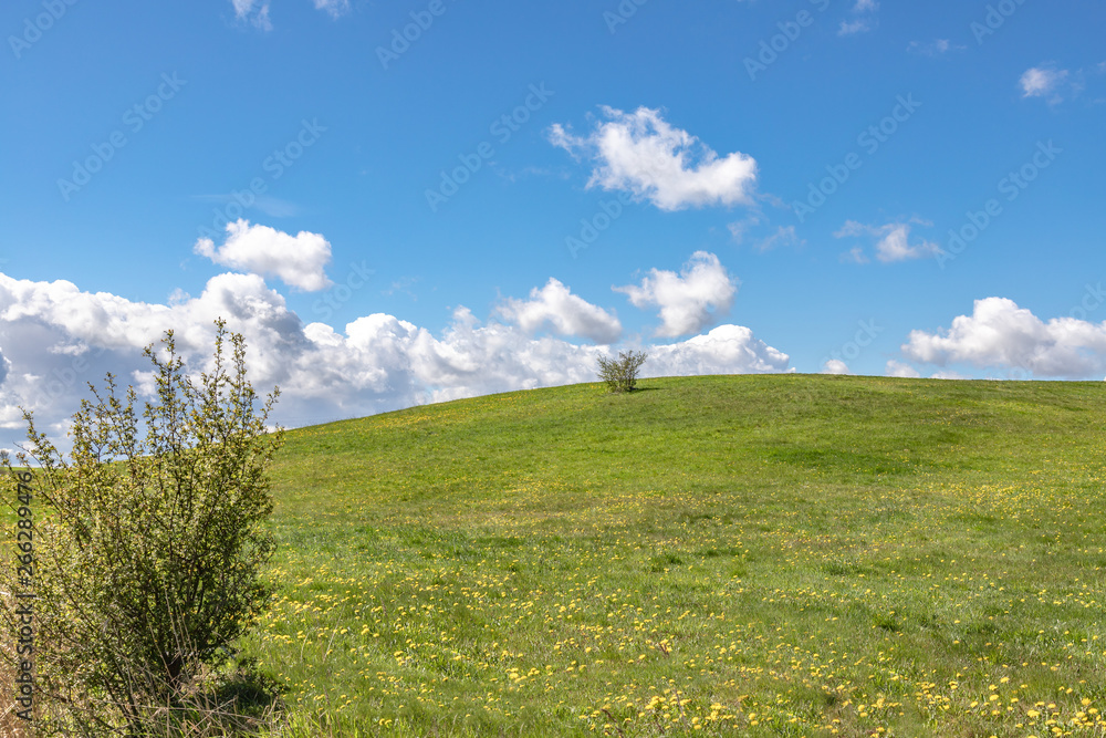 Landscape of green fields of grass with clouds and blue sky.