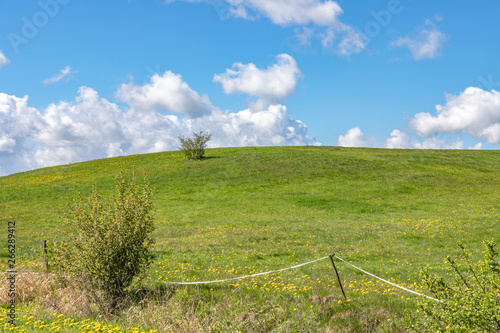 Obraz na płótnie Landscape of green fields of grass with clouds and blue sky. w salonie