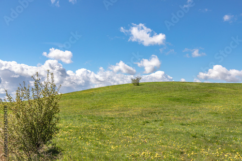 Obraz na płótnie Landscape of green fields of grass with clouds and blue sky. w salonie