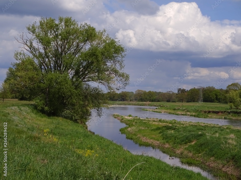 two rivers that merge, with meadow and trees