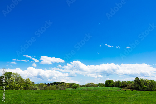 (栃木県-自然風景)夏空の下の牧場風景４