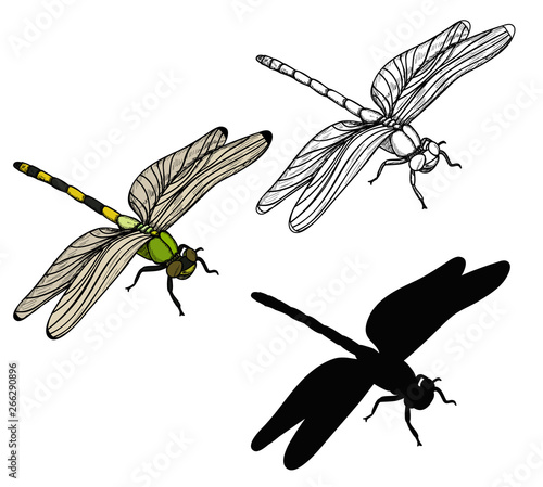  dragonfly, sketch and silhouette, set