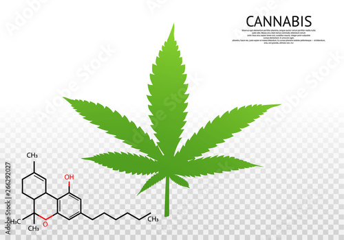 Leaf of a cannabis plant. Marijuana leaf. Medical cannabis. Vector logo