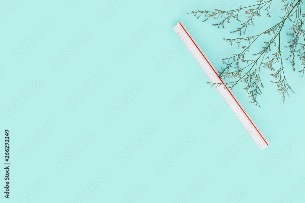 Mint green color background with flower branches and scale ruler on the right side. Architect and designer background with copy space. Mint green color background with flower branches and scale ruler on the right side. Architect and designer background with copy space.