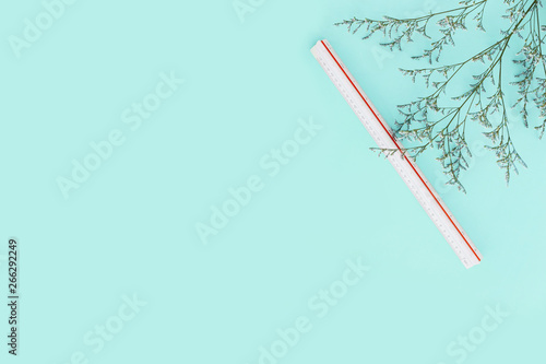 Mint green color background with flower branches and scale ruler on the right side. Architect and designer background with copy space.