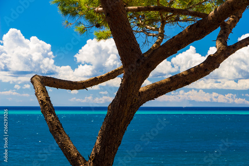Beautiful sea in a summer day in Italy © Digitalsignal
