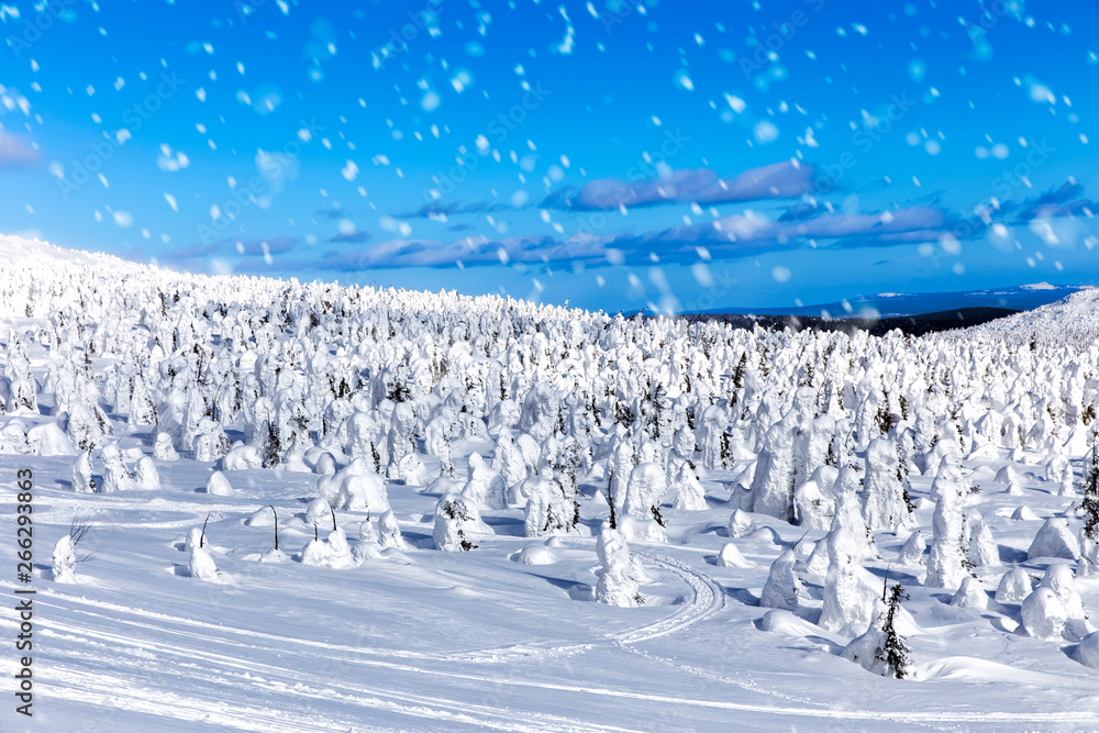 Beautiful winter wonderland during the sunny day. Snow-covered trees of unusual shape Beautiful winter wonderland during the sunny day. Snow-covered trees of unusual shape