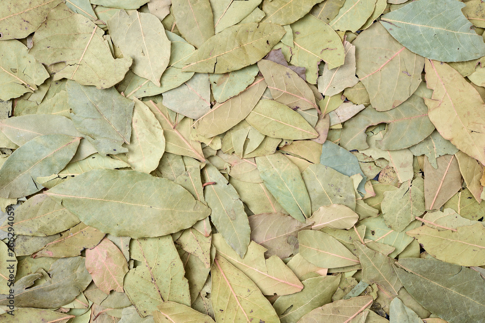 Dried bay leaves texture background Dried bay leaves texture background