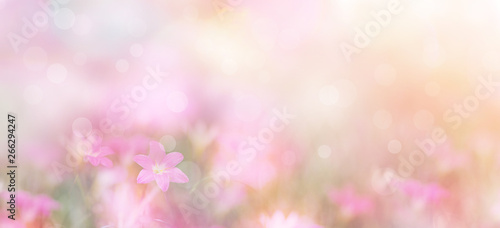 Abstract floral backdrop of purple flowers with soft style. © pkanchana
