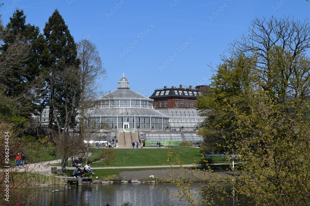Botanic garden Copenhaguen