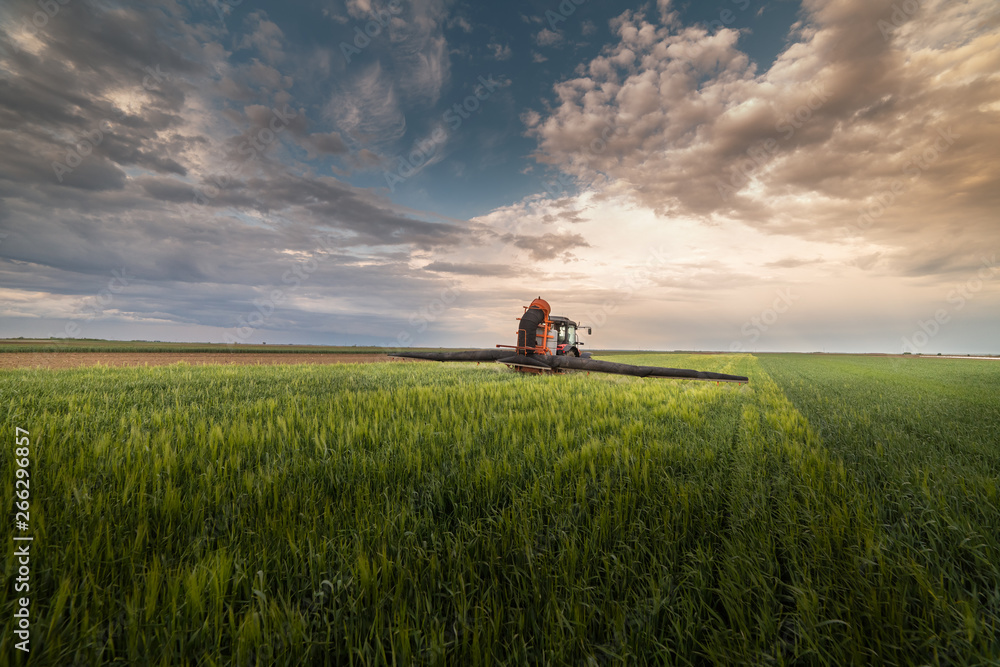 Tractor spraying pesticides at wheat field Tractor spraying pesticides at wheat field