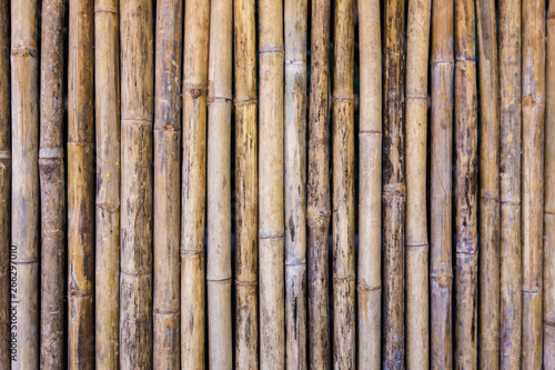 bamboo wall texture