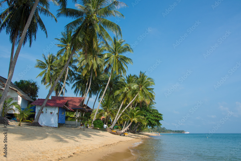 Tropical morning sand beach with coconut palm trees with clear blue sky. Thailand, Samui island, Maenam.