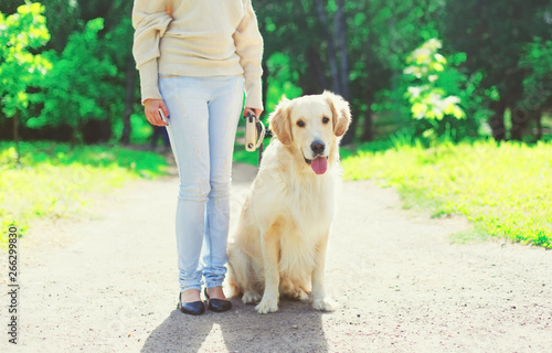 Woman owner walking with her Golden Retriever dog on leash in summer day