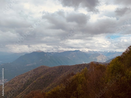 Beautiful view from the top of the mountain. Forest in the mountain 