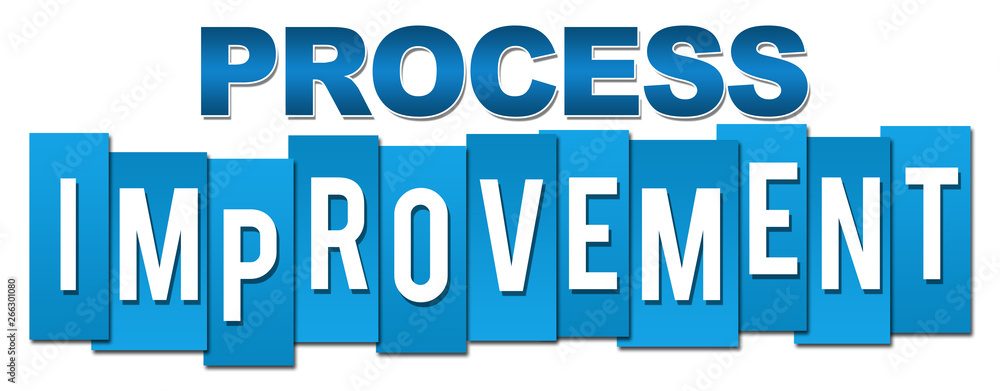 Process Improvement Professional Blue 