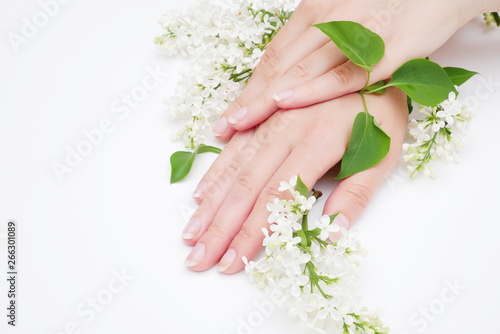 Female hands with flowers on white studio.