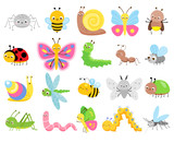 Cute insects. Big set of cartoon insects for kids and children. Butterflies, snail, spider, moth and many other