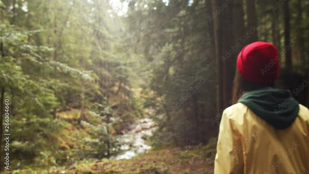 Lonely girl walking outside in green park wild nature handheld camera 4k. Young woman traveler going in evergreen woods alone summer day slow motion. Travel tourism hiking ecology environment care Lonely girl walking outside in green park wild nature handheld camera 4k. Young woman traveler going in evergreen woods alone summer day slow motion. Travel tourism hiking ecology environment care