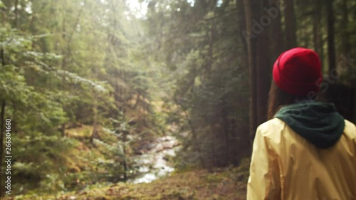Wallpaper Mural Lonely girl walking outside in green park wild nature handheld camera 4k. Young woman traveler going in evergreen woods alone summer day slow motion. Travel tourism hiking ecology environment care Torontodigital.ca