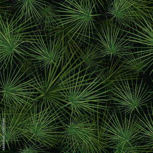 Vector seamless pattern of green palm leaves and tropical plants on a black background. Exotic background for seasonal design. © ArtParnyuk