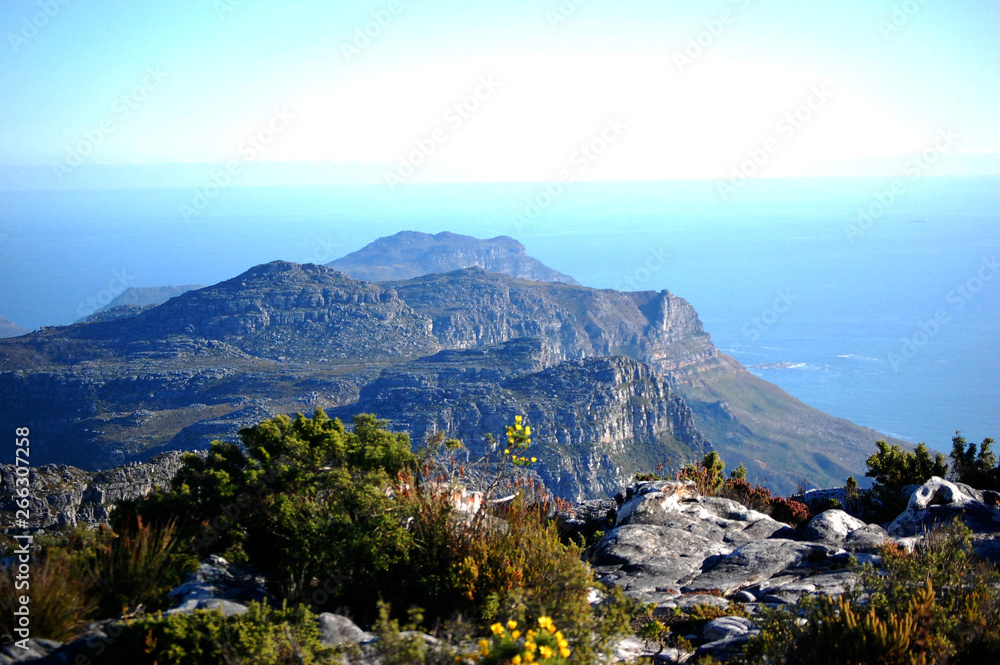 View from Table Mountain, South Africa, Cape-Town, Atlantic Ocean, rocks, plants in summer