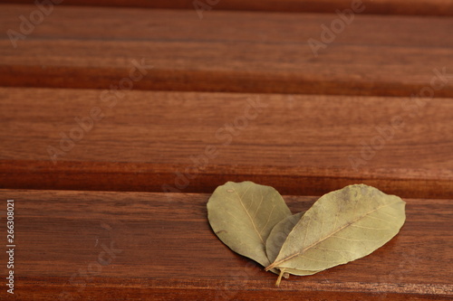 bay leaves on wooden background
