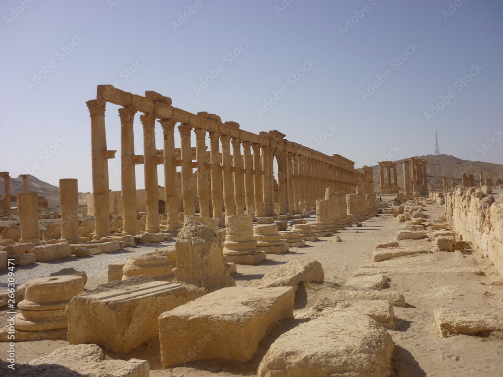 Fototapeta premium Palmyra