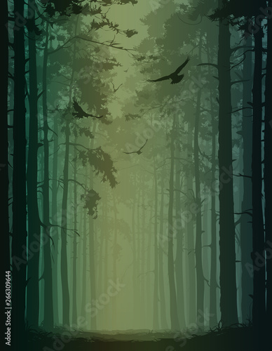 birds in the forest