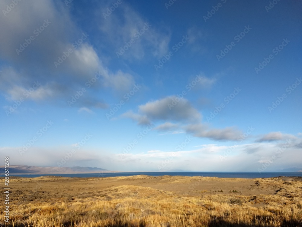 field and blue sky