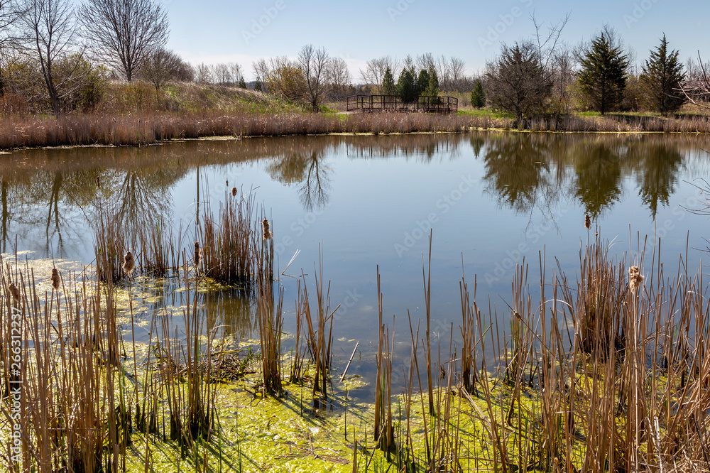 Wetlands