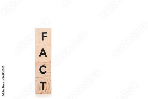 black fact word made of wooden blocks isolated on white