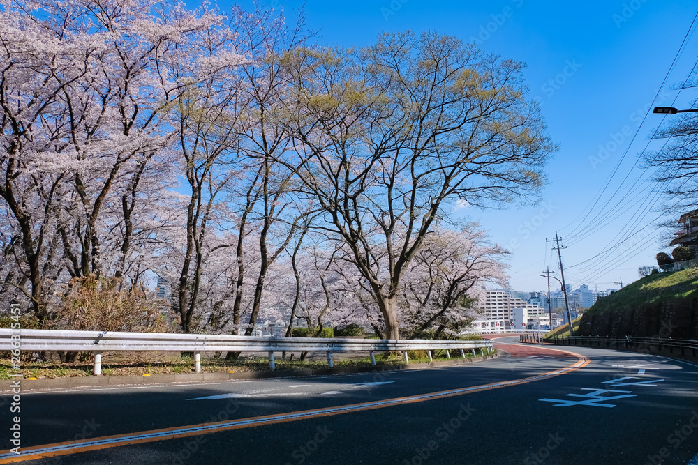 54 Best いろは坂通り Images Stock Photos Vectors Adobe Stock