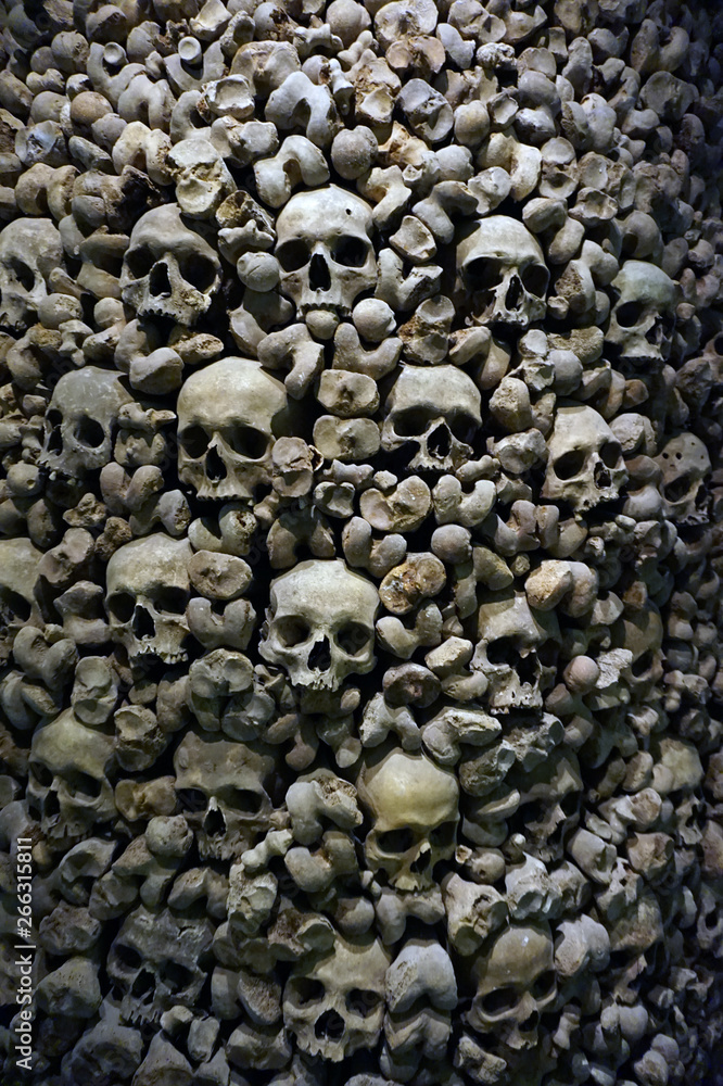 Human bones and skulls as pirate texture Human bones and skulls as pirate texture