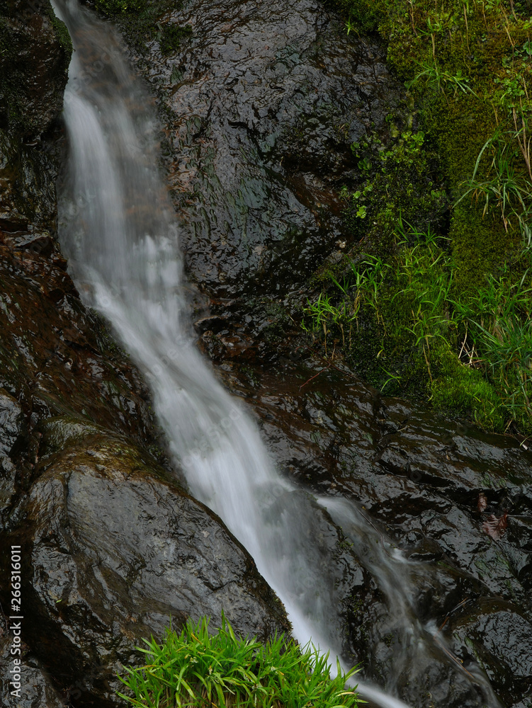 Obraz premium waterfall in the forest