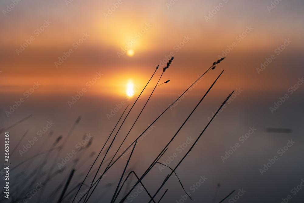 Sunrise on the Northern Dvina. morning mist over the river