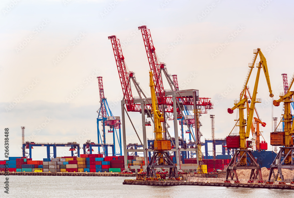 Cranes in the port