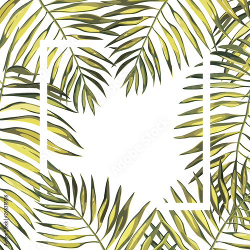 Banner, poster with palm leaves, jungle leaf. Beautiful floral tropical summer background.