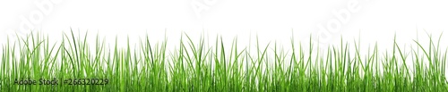 A bunch of green grass isolated on white background