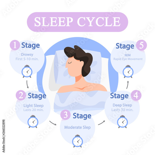 Sleep cycle infographics. Stage of sleep during