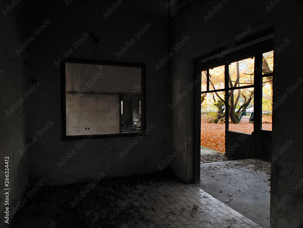 Beautiful autumn view from abandoned building interior. Vibrant landscape nature colors, contrasts with pale dark building interior. Small bridge in sycamore plane tree forest. Beautiful autumn view from abandoned building interior. Vibrant landscape nature colors, contrasts with pale dark building interior. Small bridge in sycamore plane tree forest.
