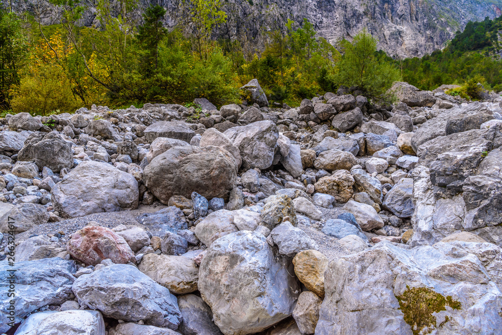 Boulder stones in Koenigssee, Konigsee, Berchtesgaden National Park, Bavaria, Germany