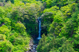 静岡県富士市　須津川渓谷の大棚の滝