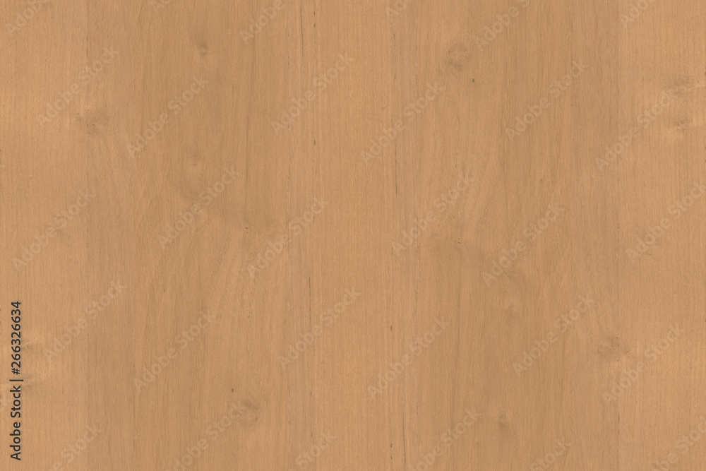 Fototapeta premium brown oak tree wood wallpaper structure texture background
