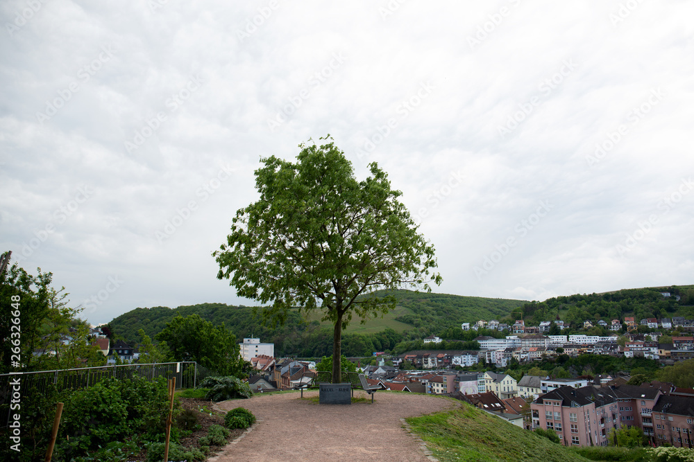 weitblick auf den aussichtsturm auf der burg klopp in bingen am rhein deutschland fotografiert während einer besichtigungstour an einem bewölkten sonnigen tag weitblick auf den aussichtsturm auf der burg klopp in bingen am rhein deutschland fotografiert während einer besichtigungstour an einem bewölkten sonnigen tag