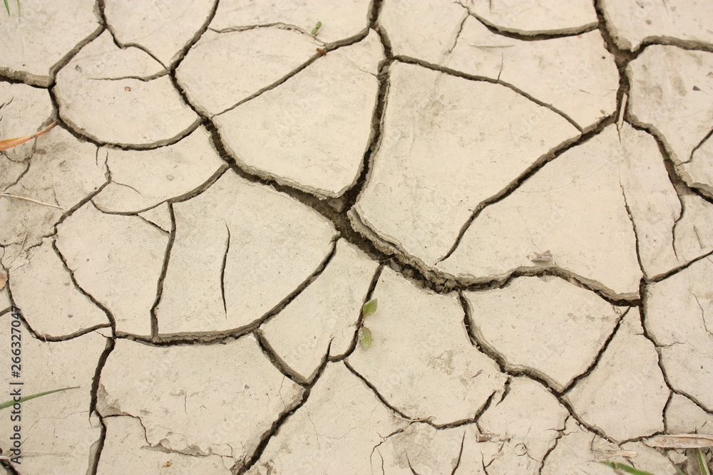 drought cracked land ecology closeup drought cracked land ecology closeup