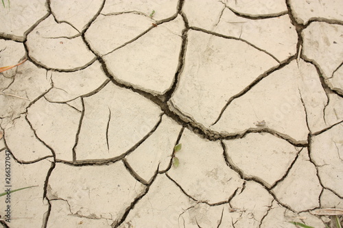 drought cracked land ecology closeup